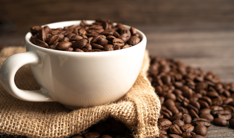 Noble Coyote Coffee Roasters