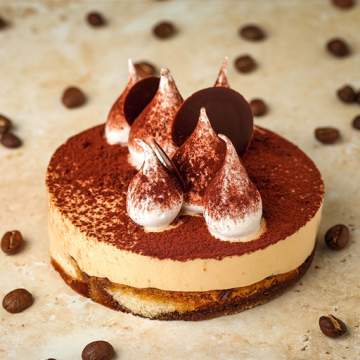 Explore all Mini Cakes flavors Elegant array of mini-cakes perfect for dessert enthusiasts